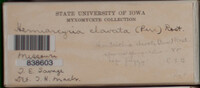Image Associated With the Occurence